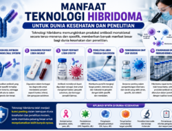 Manfaat Teknologi Hibridoma untuk Dunia Kesehatan dan Penelitian
